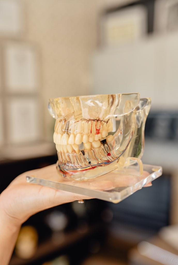 Odontologia Biológica e Integrativa